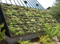 Awesome_Green_Roof