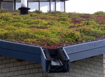 EVA-_Lanxmeer_Green_roof2_2009