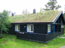 Green_Roof_in_Norway